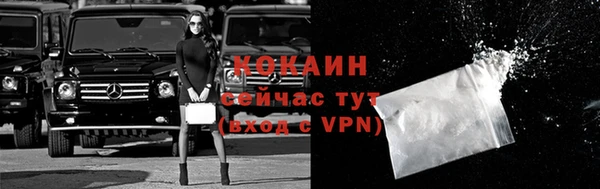 шишки Беломорск