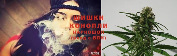 шишки Беломорск
