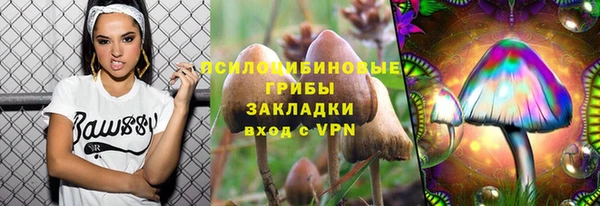 шишки Беломорск