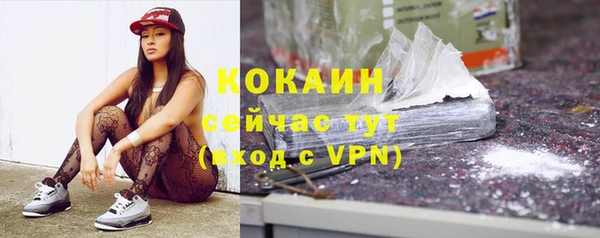 шишки Беломорск