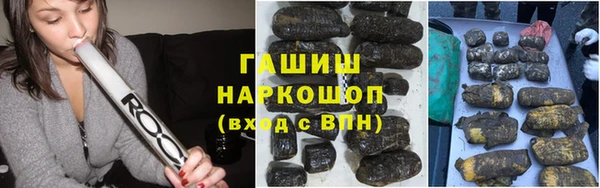 шишки Беломорск