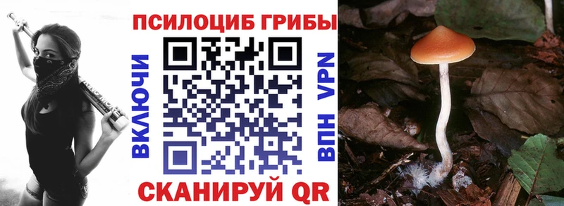 ОМГ ОМГ ТОР  Лодейное Поле  Псилоцибиновые грибы Psilocybe 